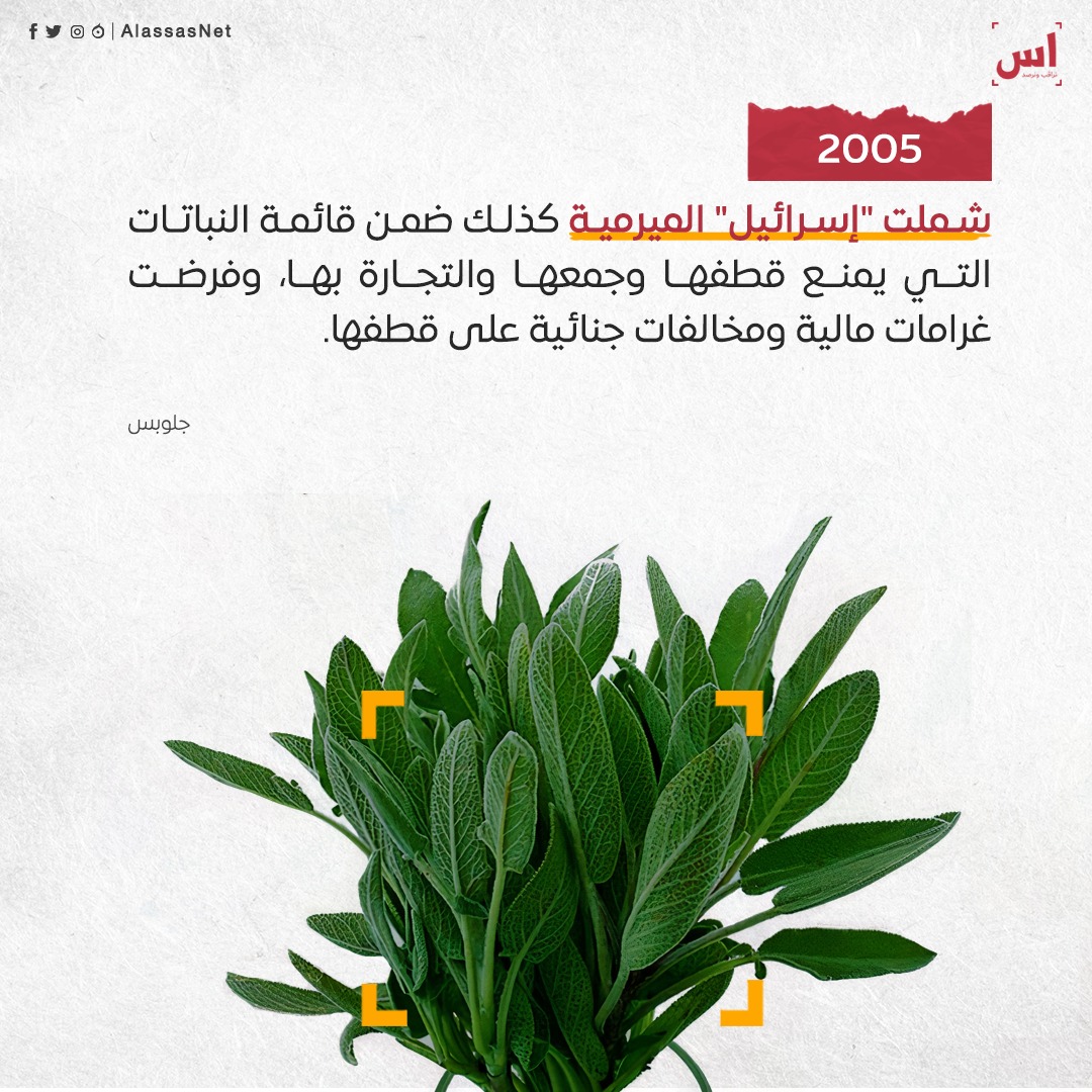 نباتات منعتها "إسرائيل" عن الفلسطينيين